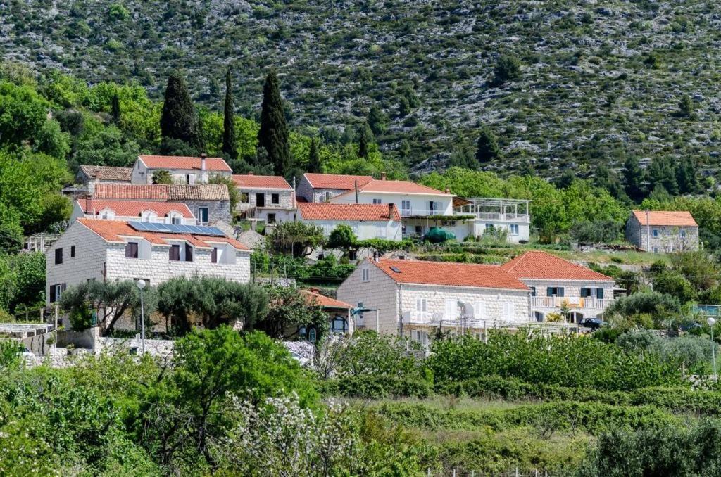Guesthouse Moretic Orašac Szoba fotó